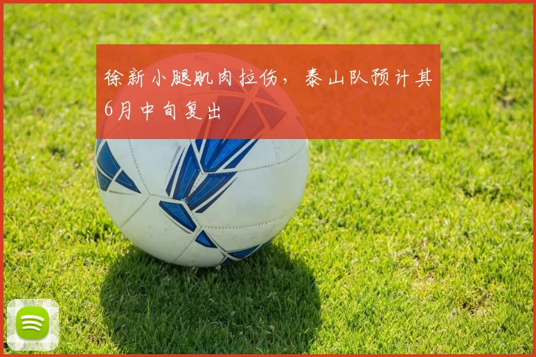 徐新小腿肌肉拉伤，泰山队预计其6月中旬复出